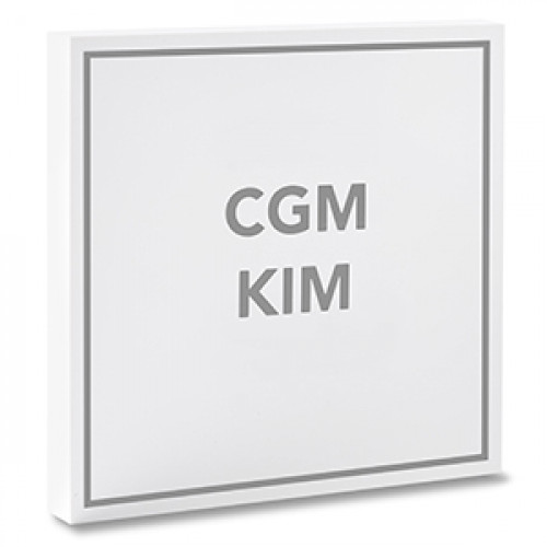 CGM KIM Basic 2 GB